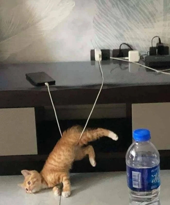 奴才：還好手機沒有砸下來