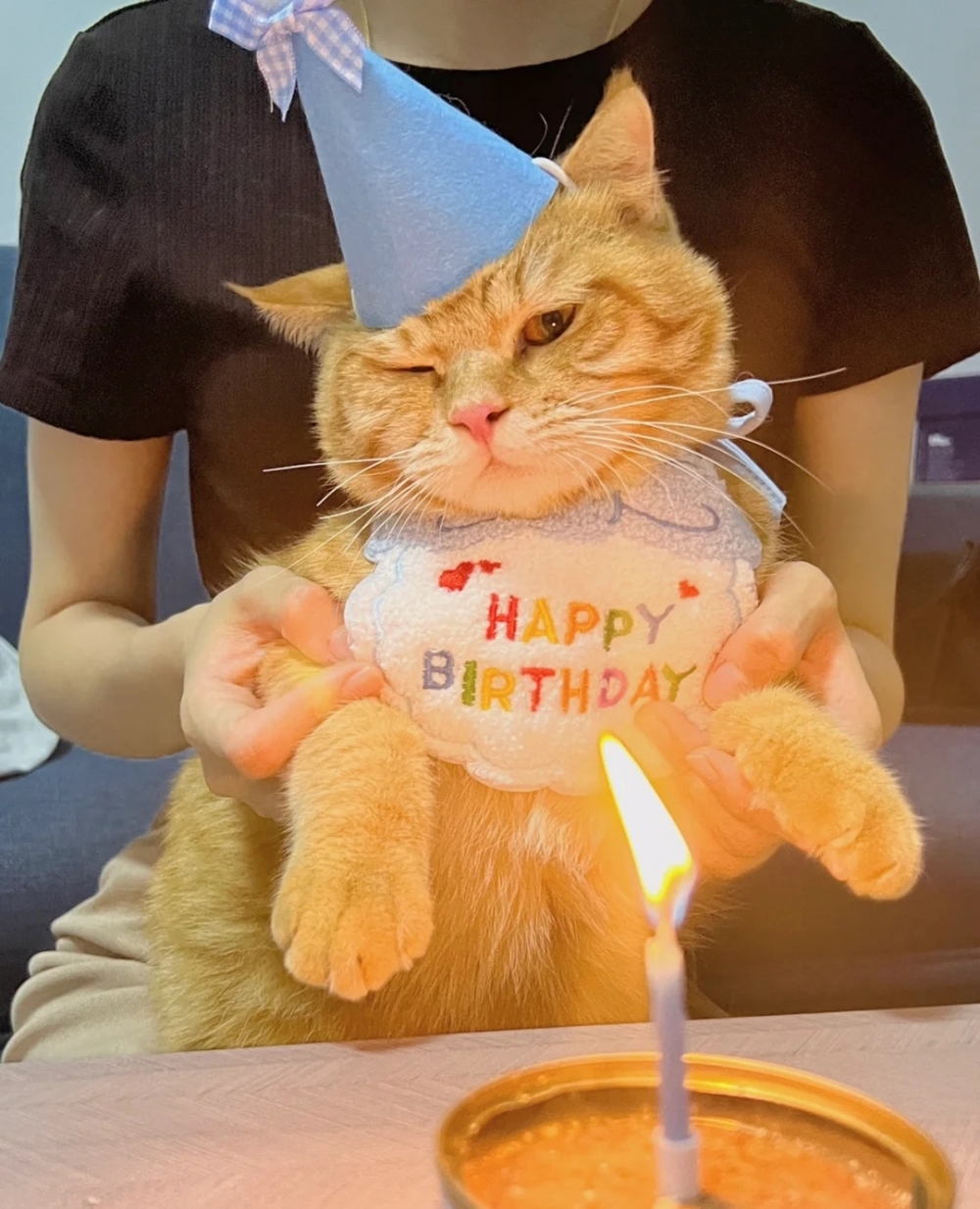 奴才：謝謝配合喔～