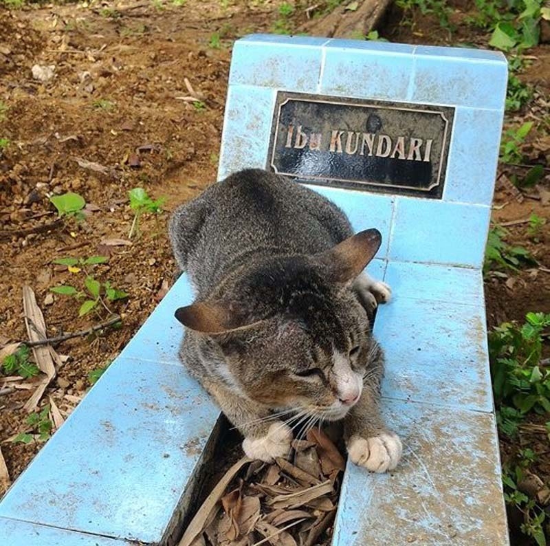 喵：朕是不會離開奴才的～