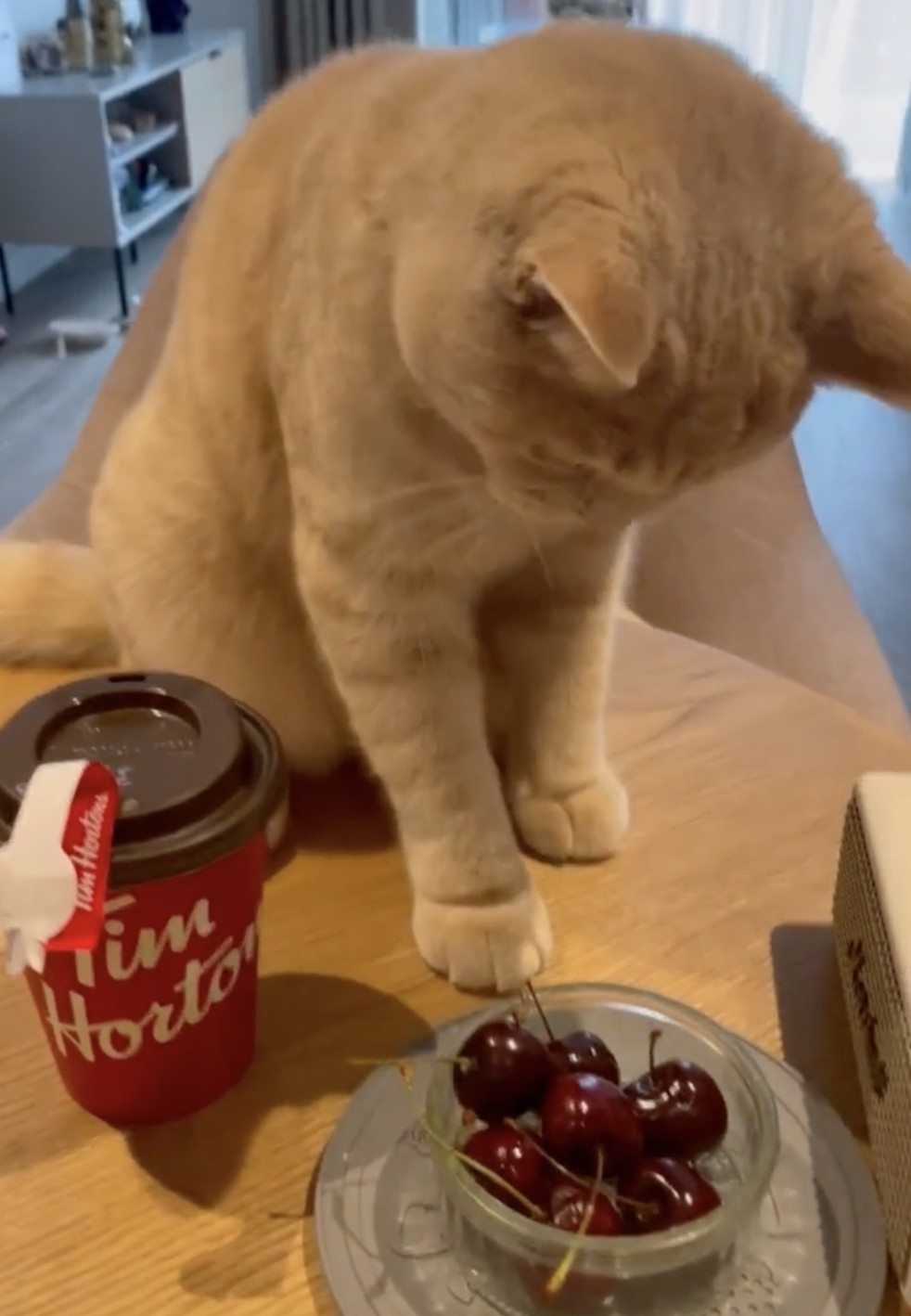 奴才：有得吃就不要嫌啦