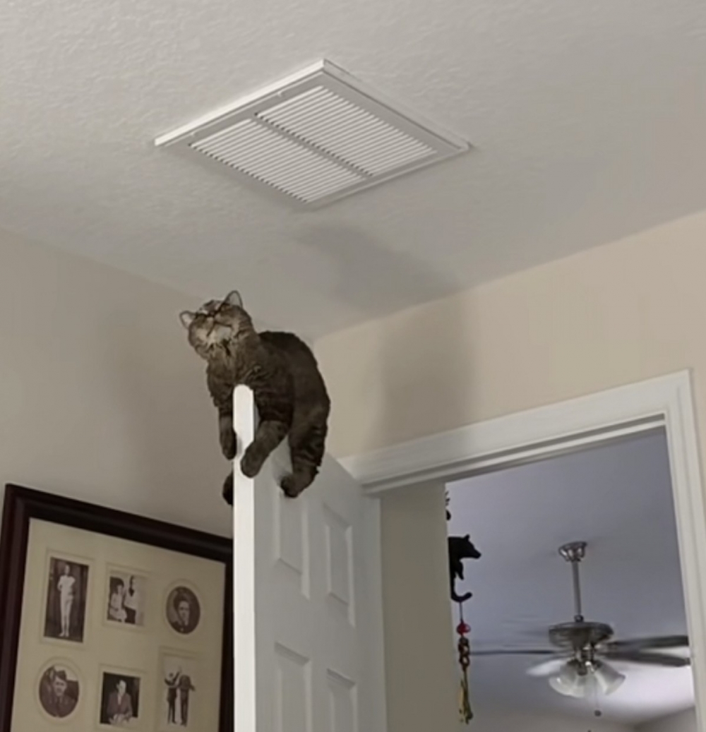 奴才：好嬌貴喔，才做了什麼啦