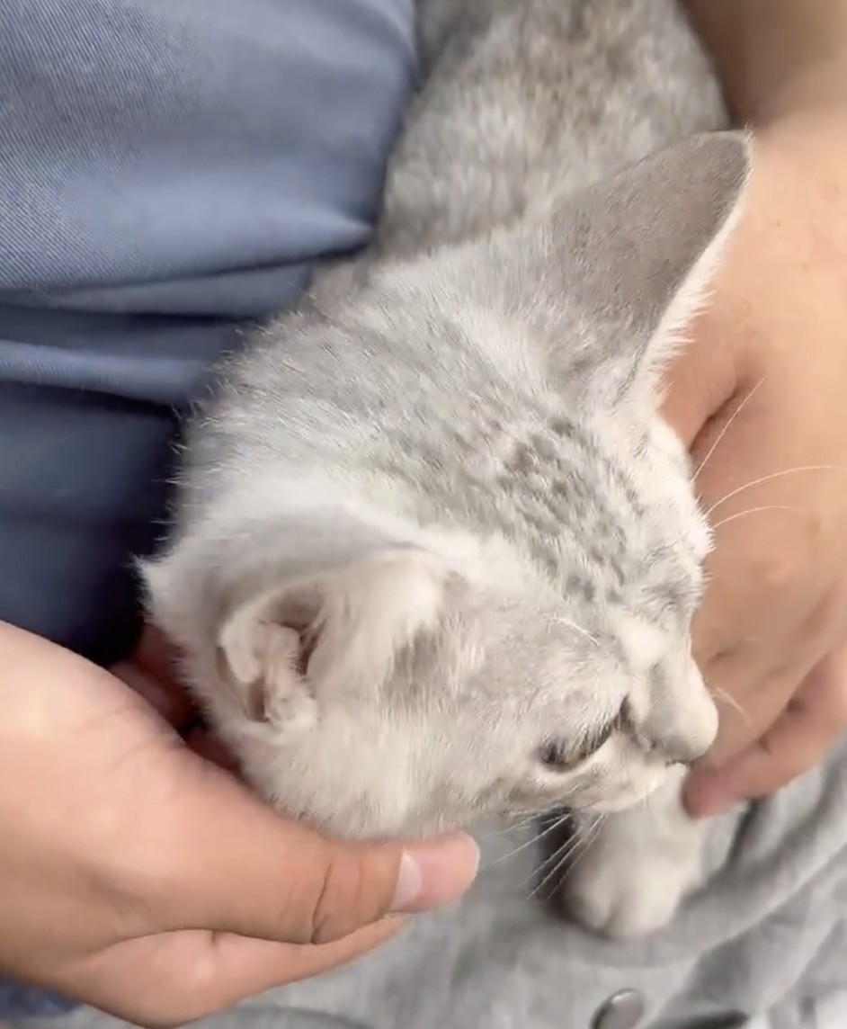 奴才：很快就結束啦