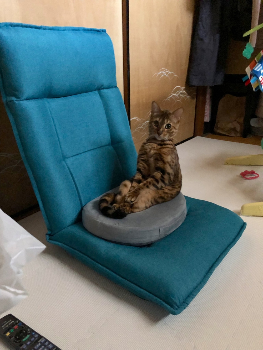 奴才：唷～坐得挺穩的