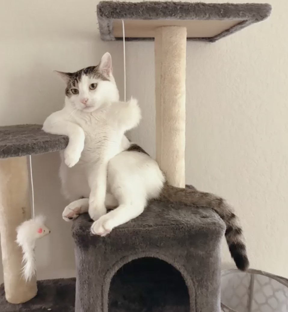 奴才：現在知道了！