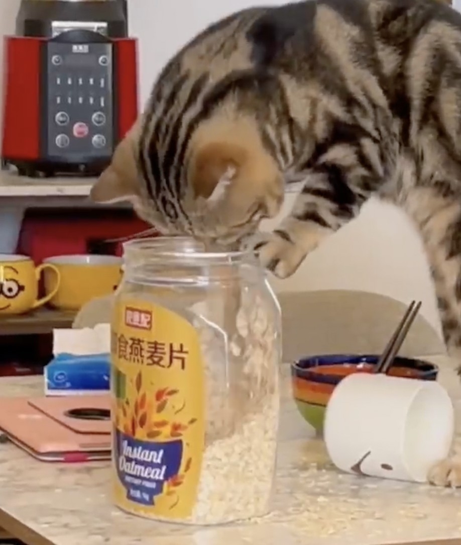 奴才：我都看在眼裡了