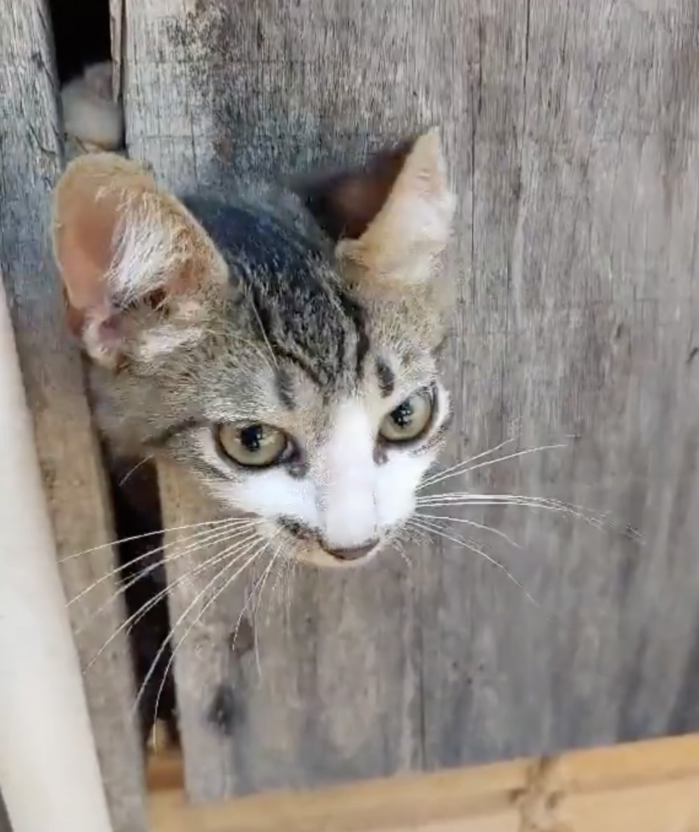 奴才：#@&*！%#%$！-$+/#=@～