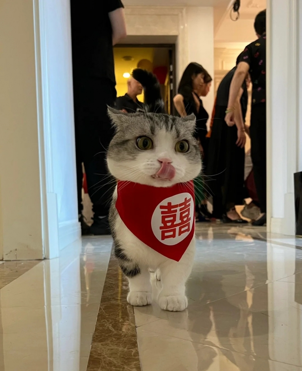 奴才：有你的陪伴很安心