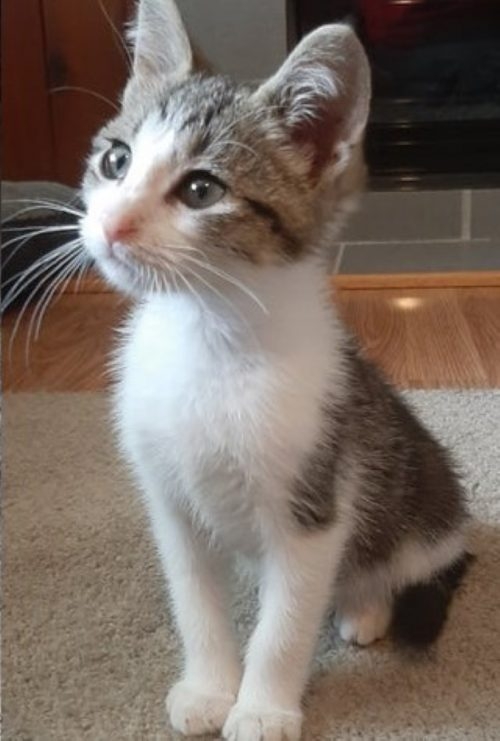 奴才：不會虧待你的～