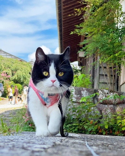 準備好了，拍吧～