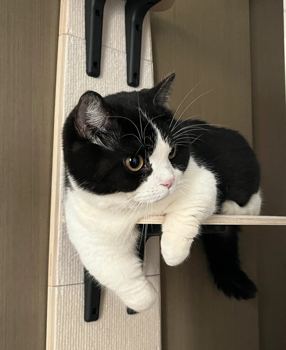 奴才：早也不用那麼早吧！