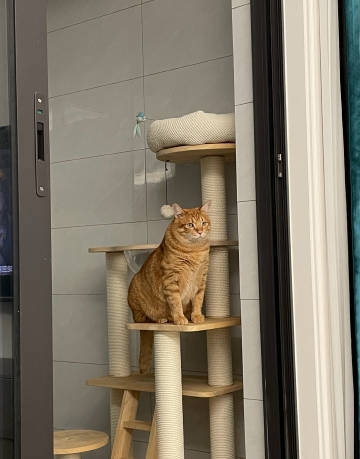 奴才：平時也看不出嘴巴可以張那麼大喔