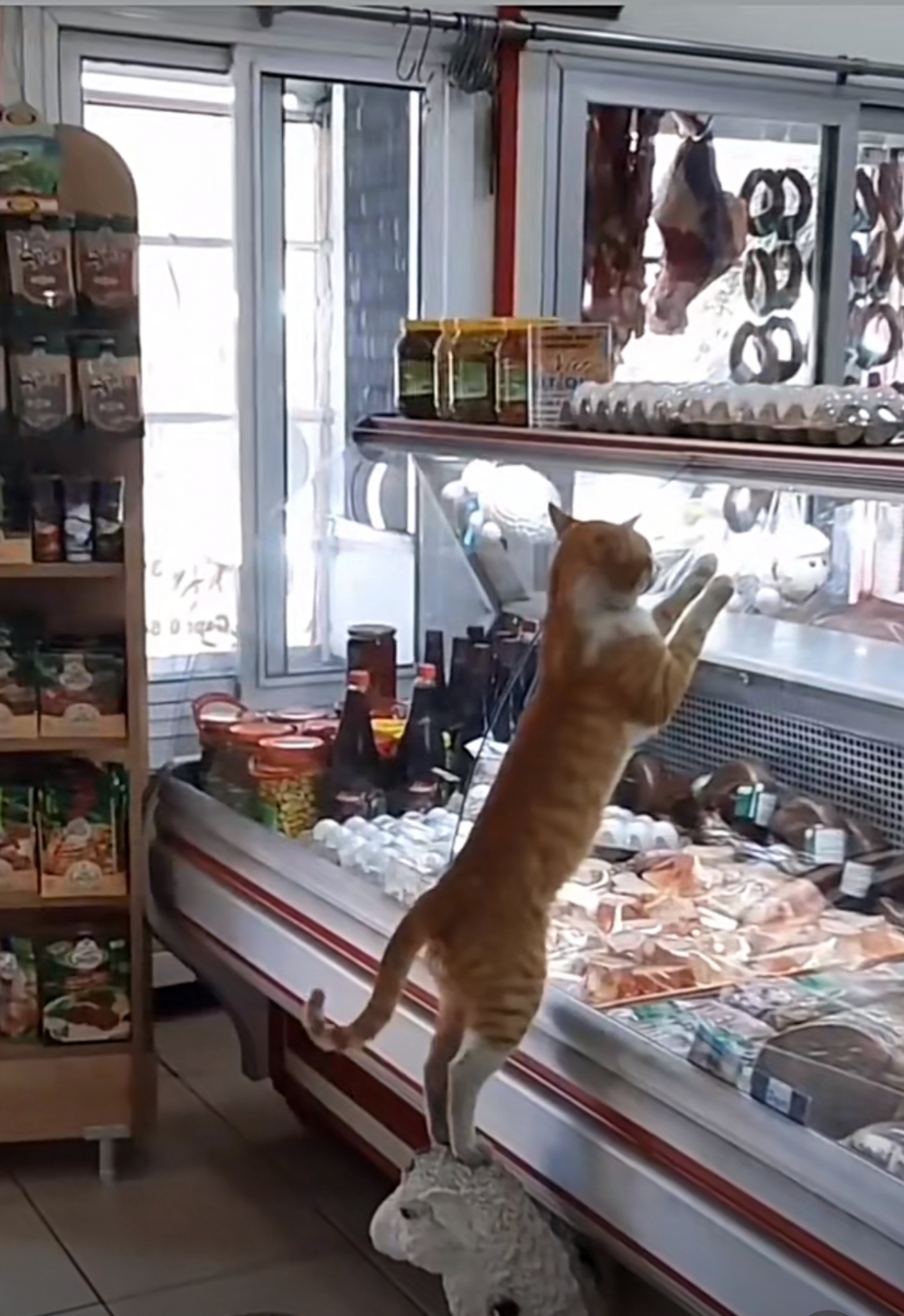 老闆：小嘴真甜