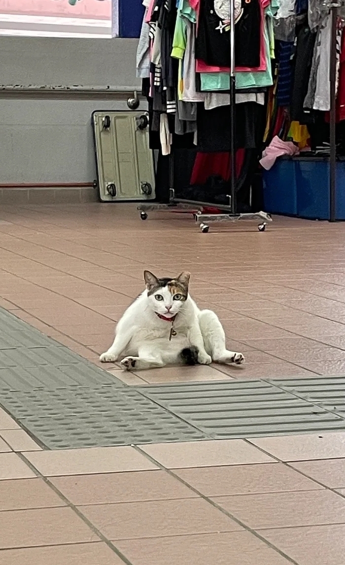 乘客：那你也太不注重形象了吧