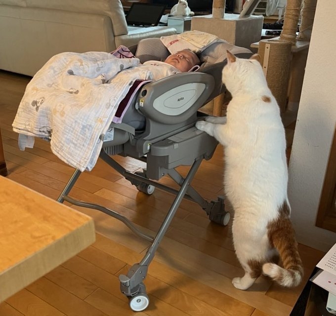 奴才：要跟小小寶寶和睦共處喔