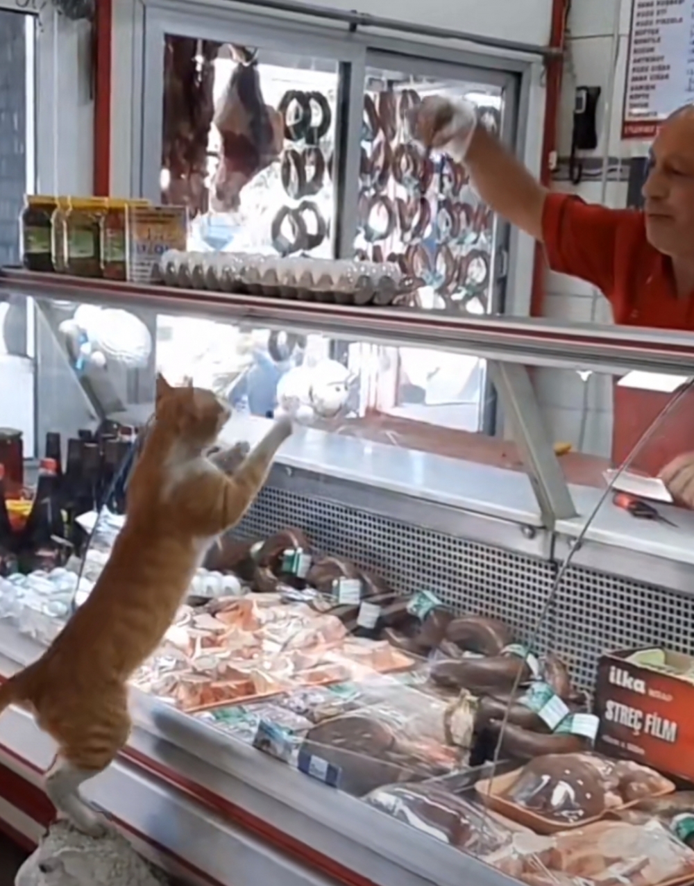 老闆：這就給你拿新鮮的肉肉