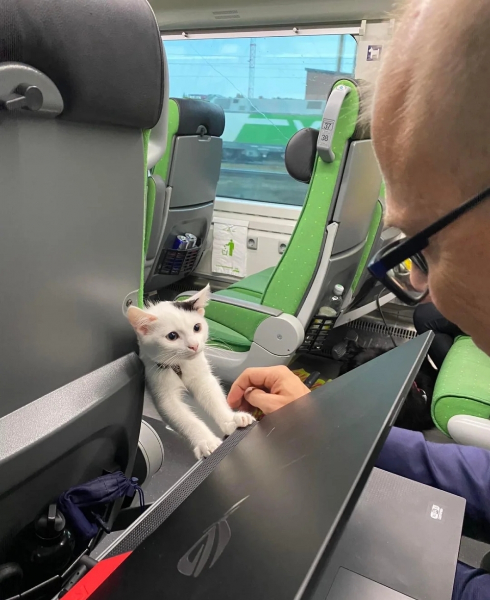 乘客：當然可以啊