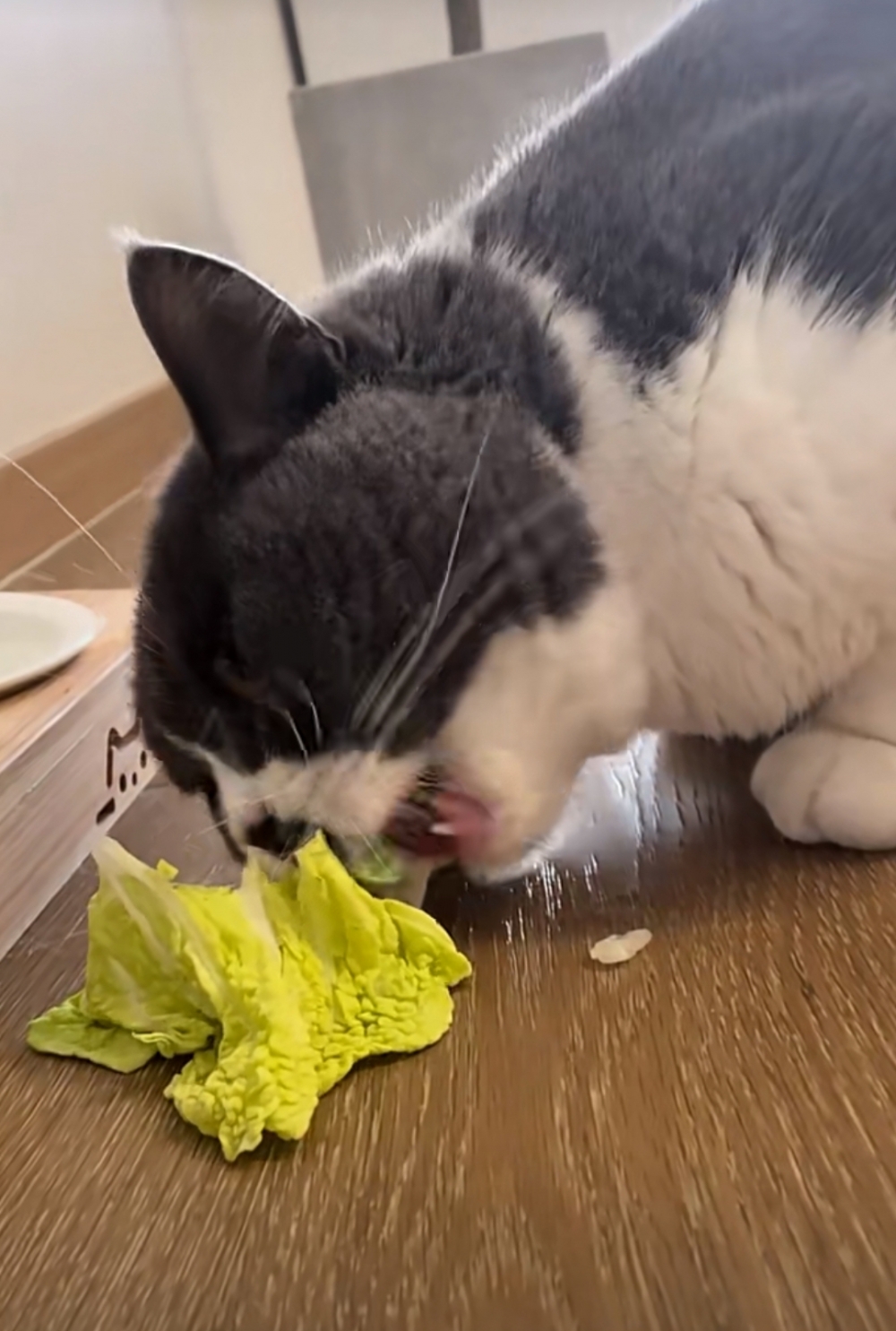 奴才：真的理解不了你的喜好欸