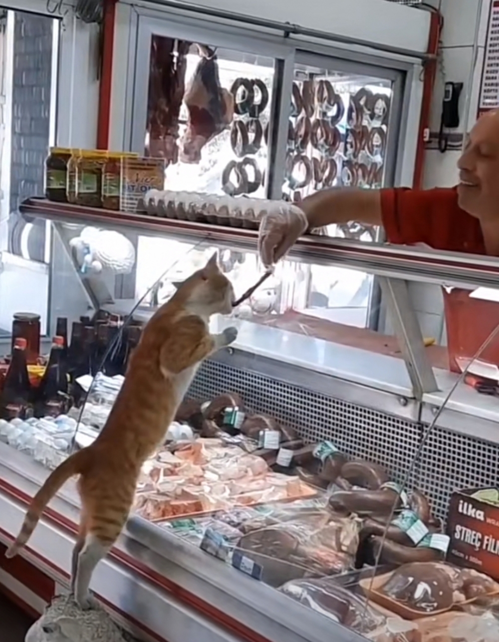 老闆：多說一點好聽的，下次還請你吃喔～