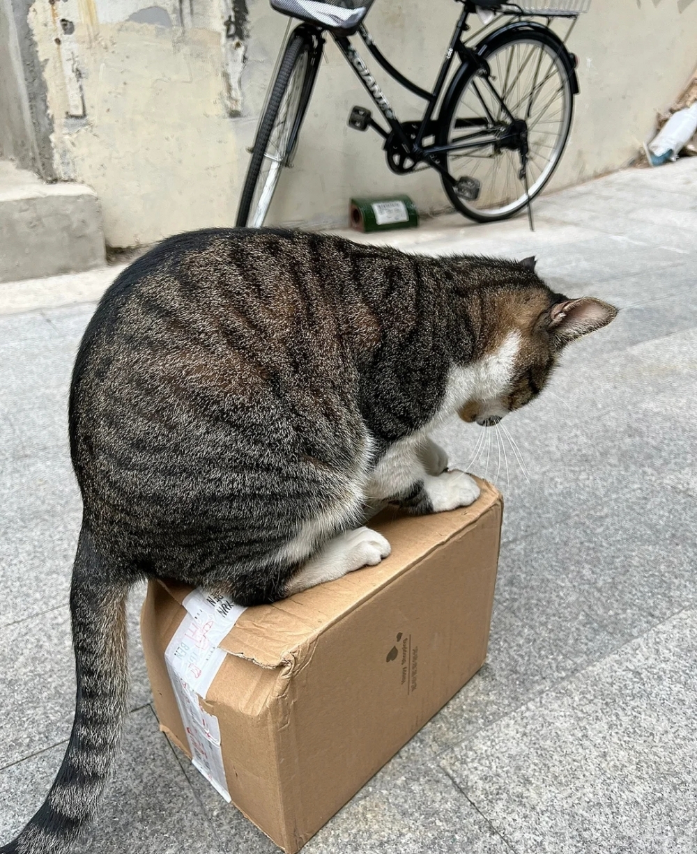 奴才：也不用用盡全身去守護啦～