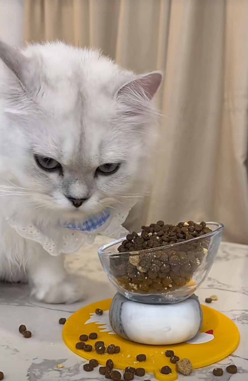 奴才：牠才不吃你的