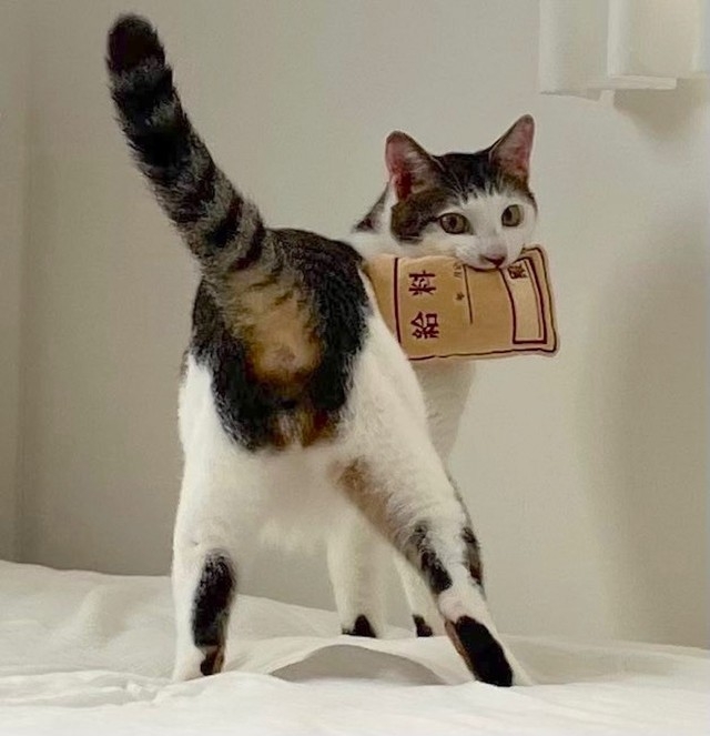 奴才：那麼喜歡這個玩具，你是「錢奴」嗎？