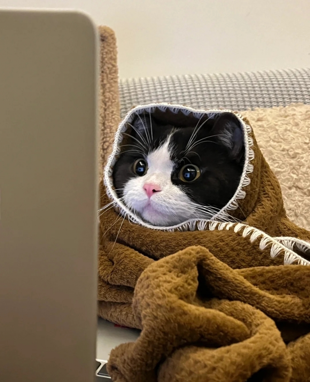 喵：趕快也來一起取暖吧～