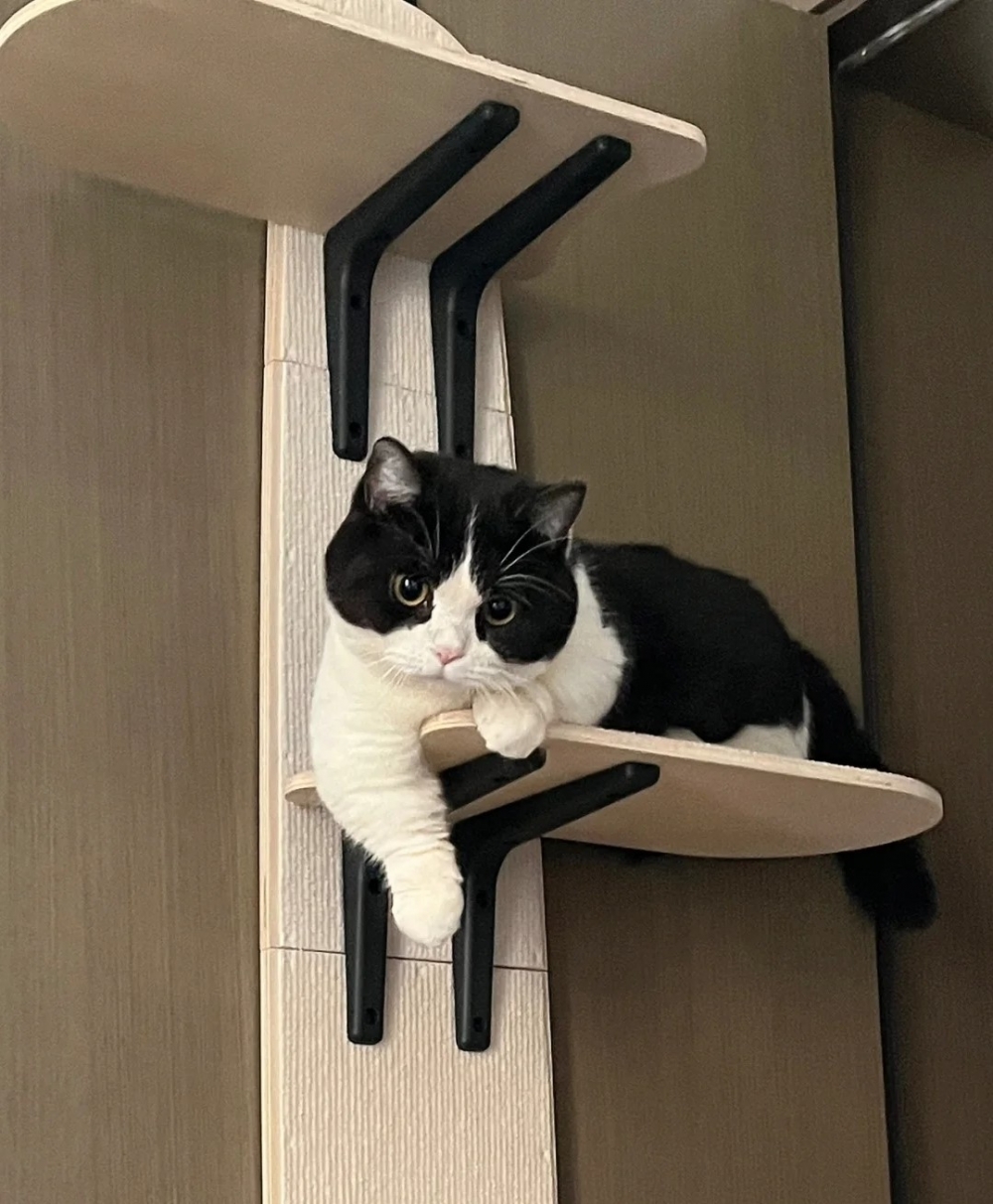 奴才：你就不能多睡一下嗎