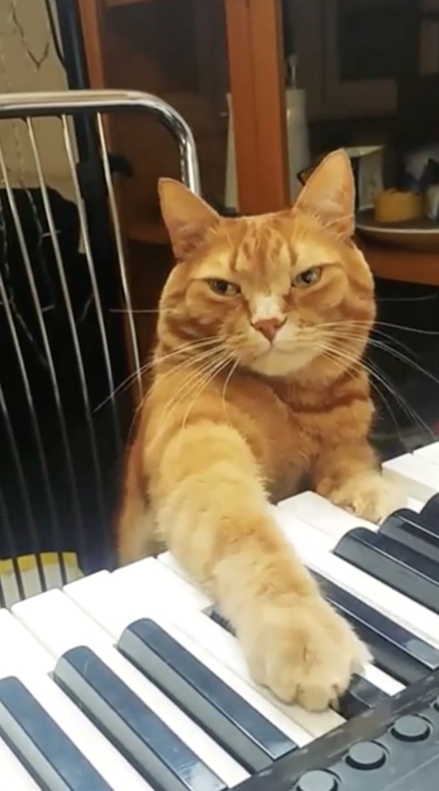 奴才：每天都好準時啊