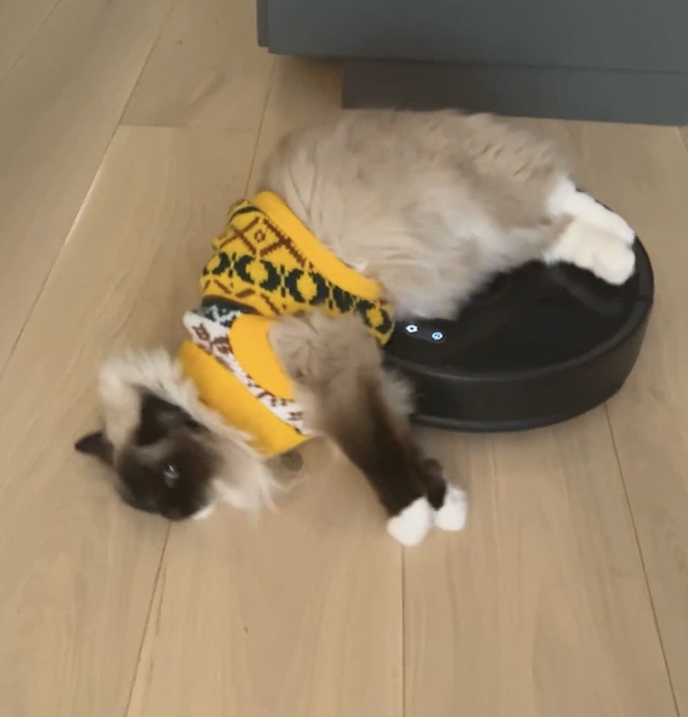 奴才：我都說小心一點的吧～