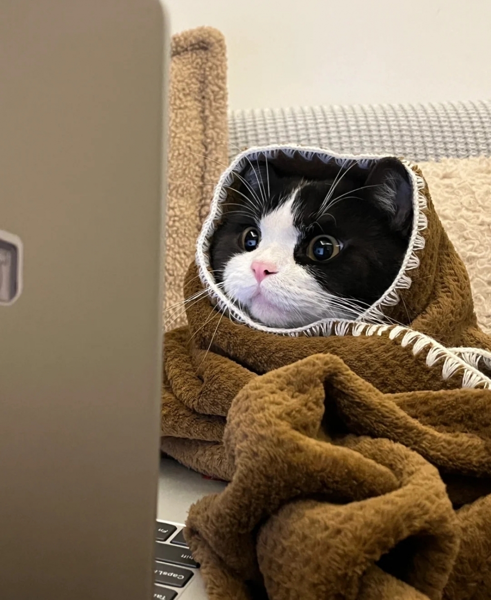 奴才：你還挺會的