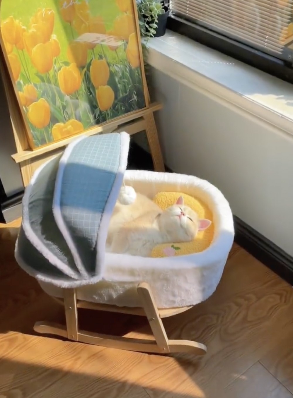 喵：雙重享受喔～