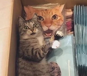 奴才：不是的話你幹嘛躺在人家身上