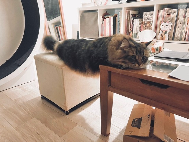 奴才:知道你很厲害啦