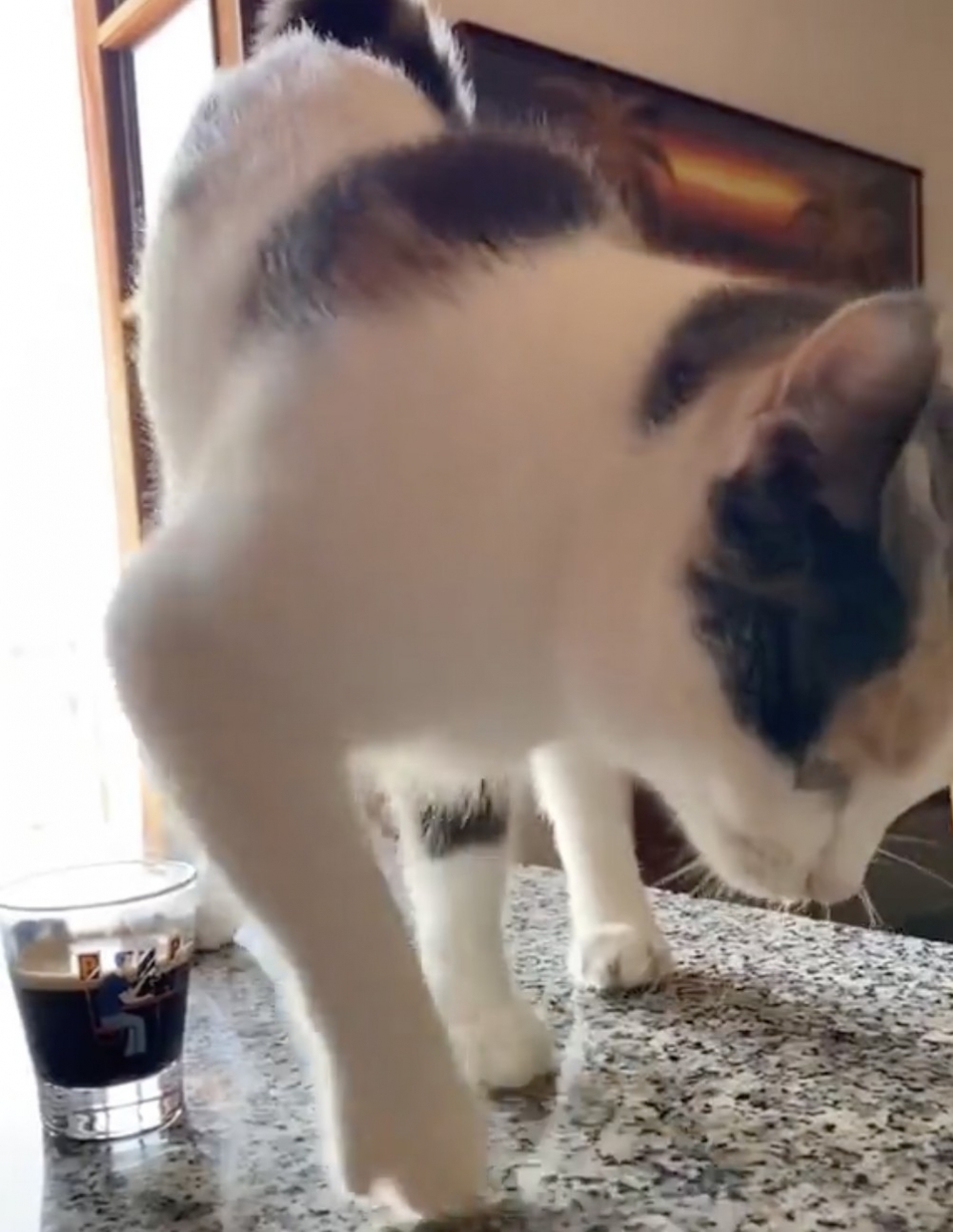 奴才：你幹嘛這樣啦！