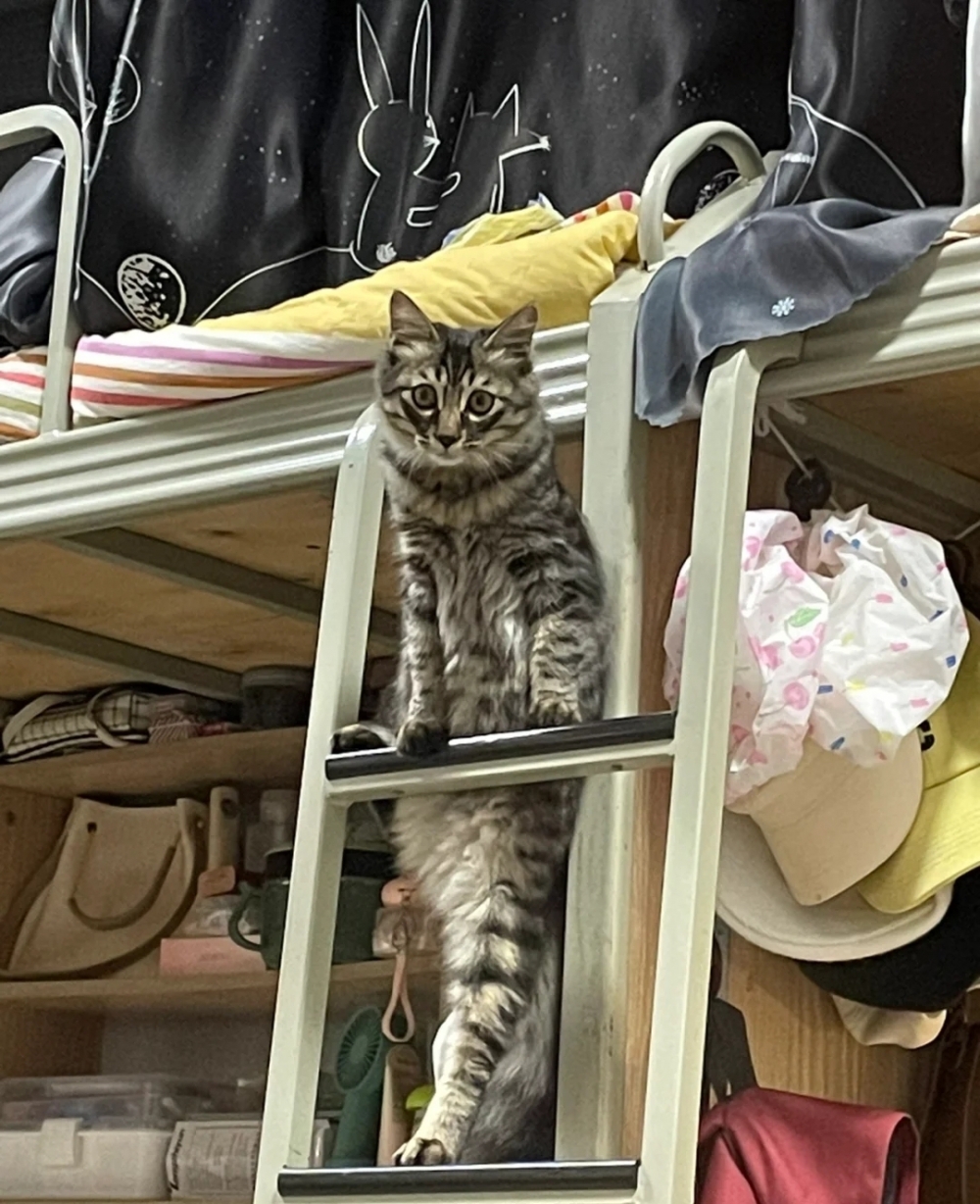 奴才：我們就靜靜的看你表演吧～