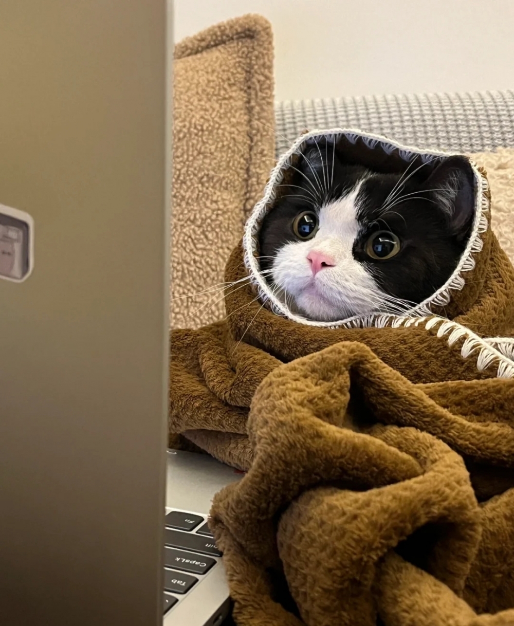 奴才：讓個位給我也一起好不好嘛～