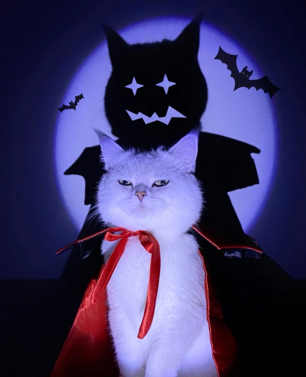 喵：這很簡單啦~