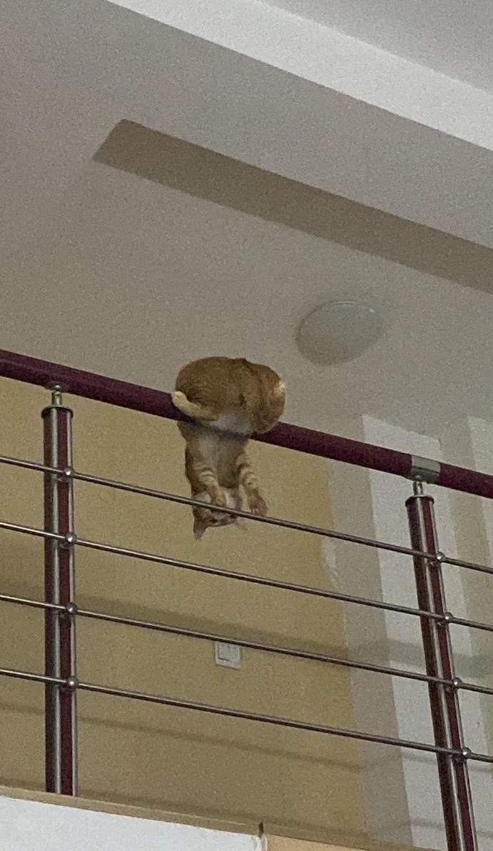 喵：沒問題啦！