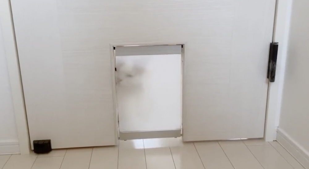 喵：絕對有辦法打開的