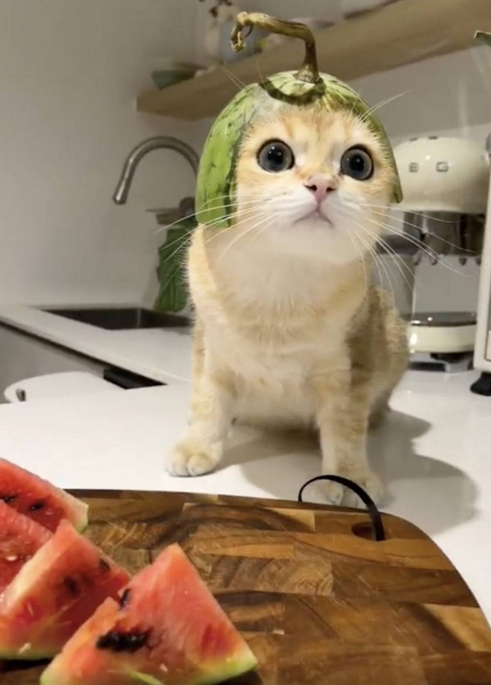 奴才：專業訂製的瓜皮帽