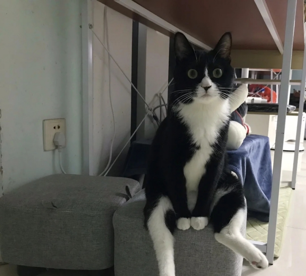 奴才：我就是想要攤著啦