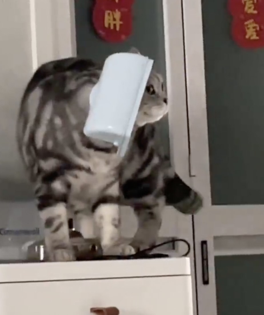 奴才：再看你多表演一下啊