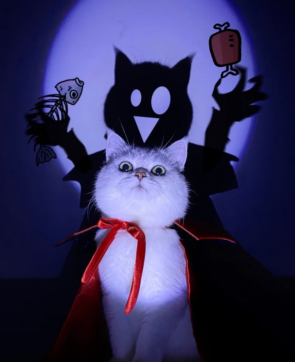 奴才：這個post結束，換下一個