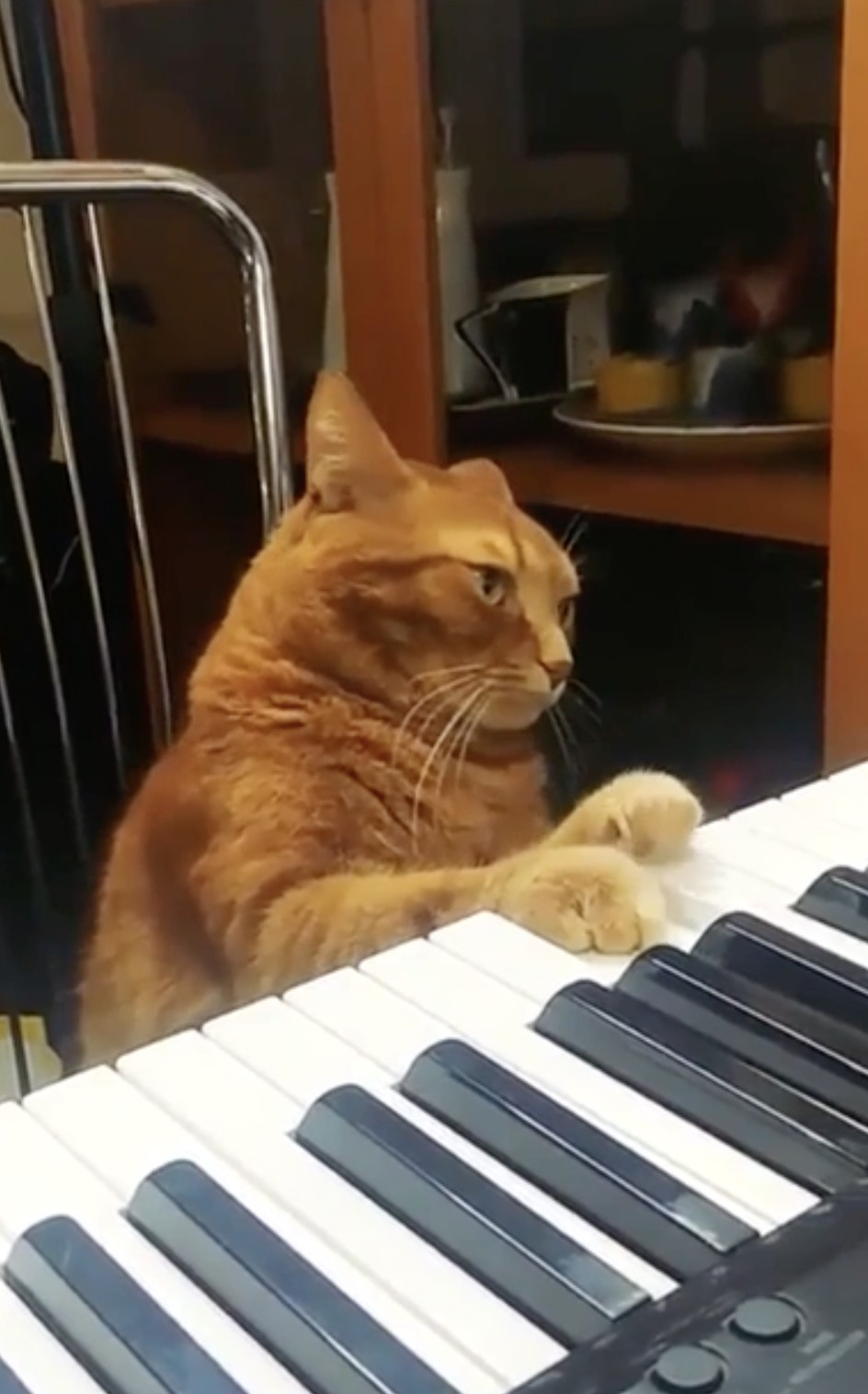 奴才：但是真的會被嚇醒欸