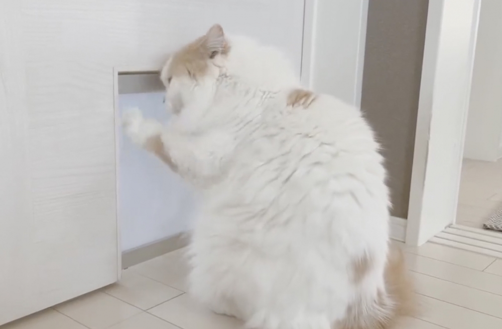 奴才：很快就解放啦