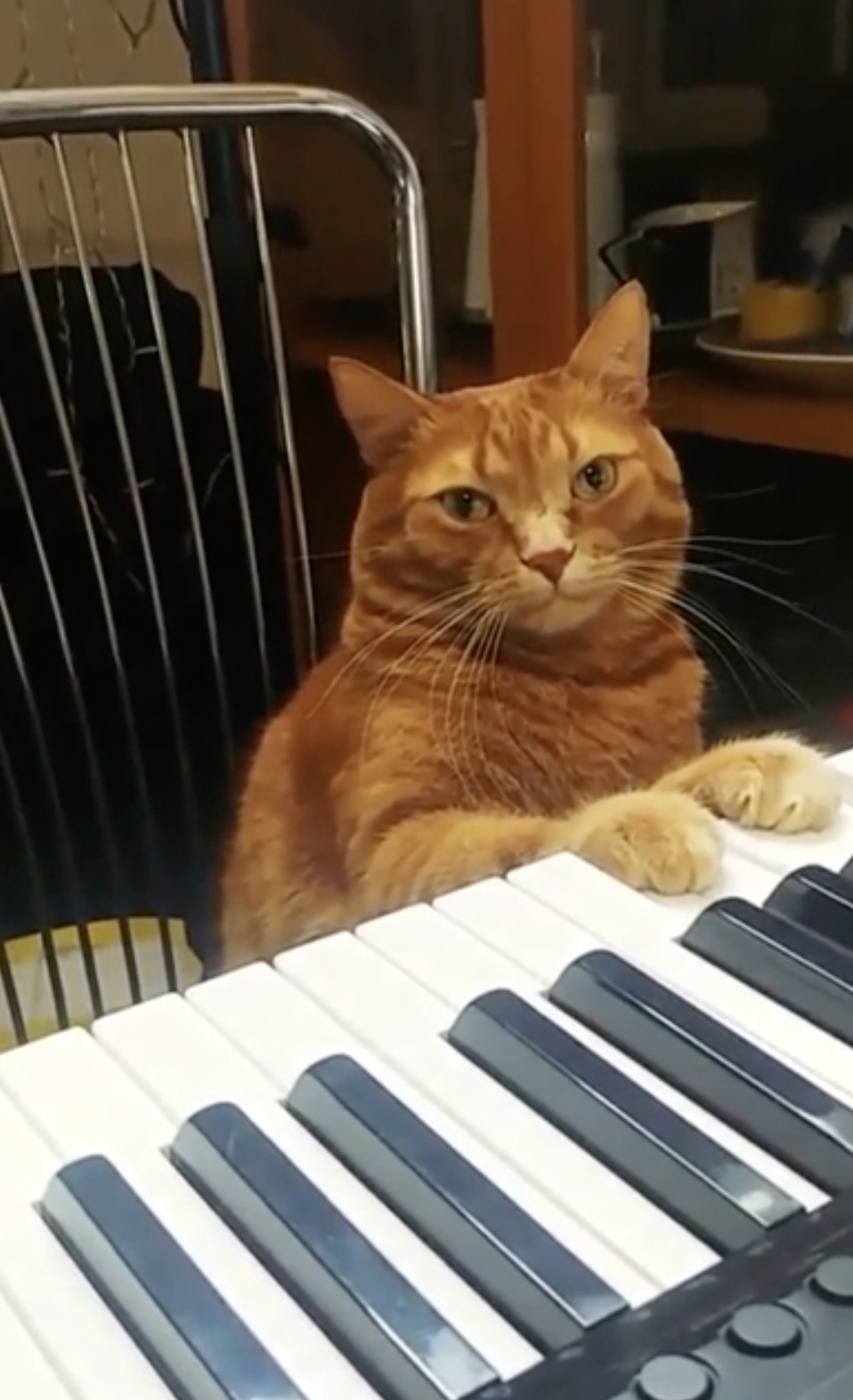 奴才：好榮幸啊