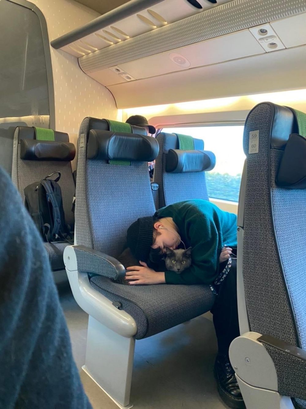 喵：朕什麼時候成了「枕頭喵」噠～