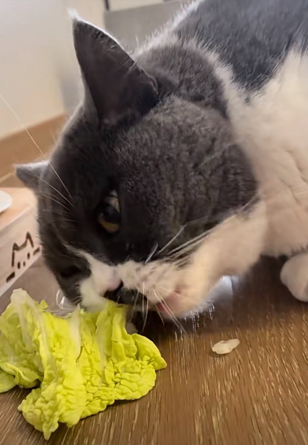 奴才：下次給你多準備一點