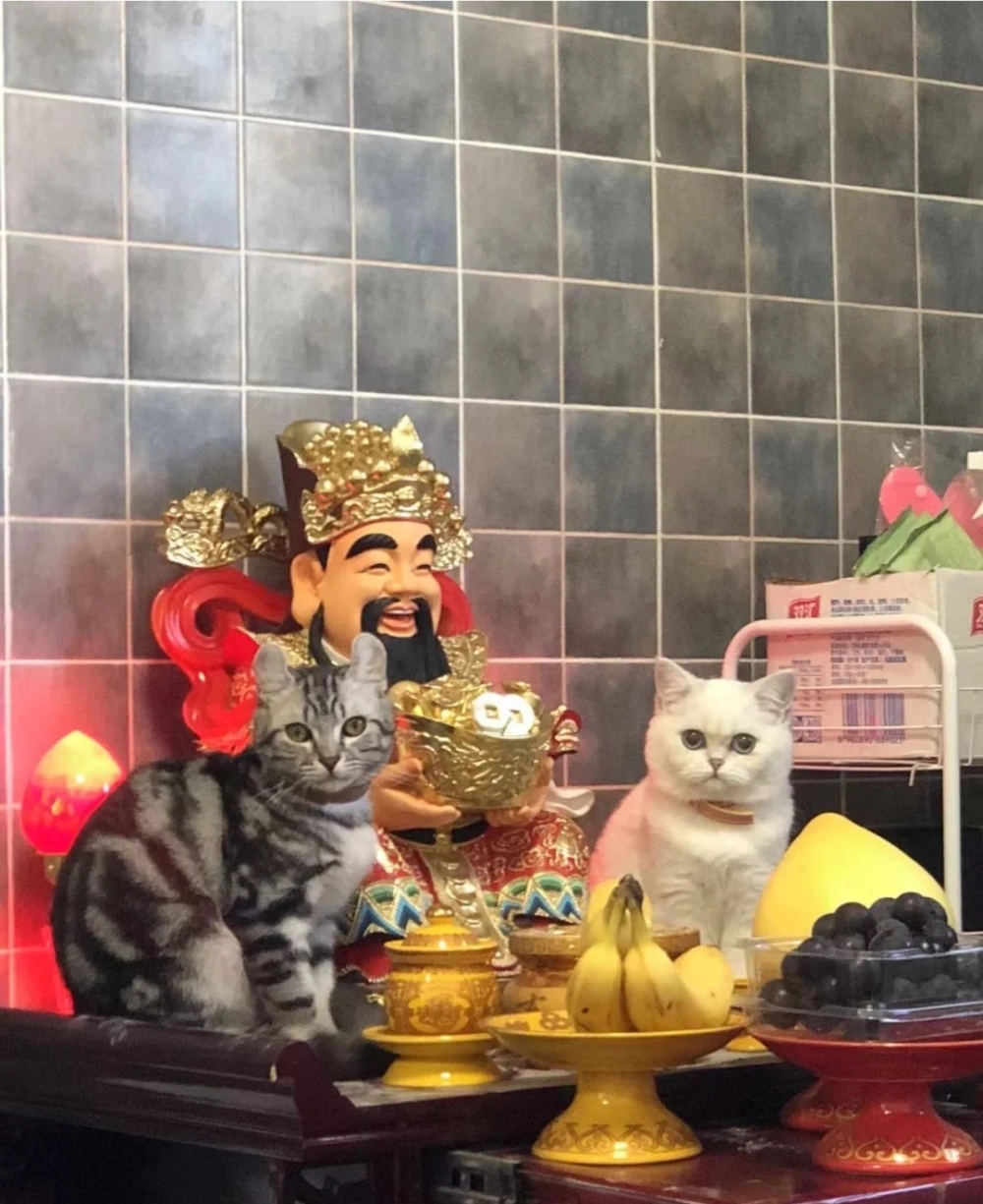 奴才:這樣會打擾財神爺欸