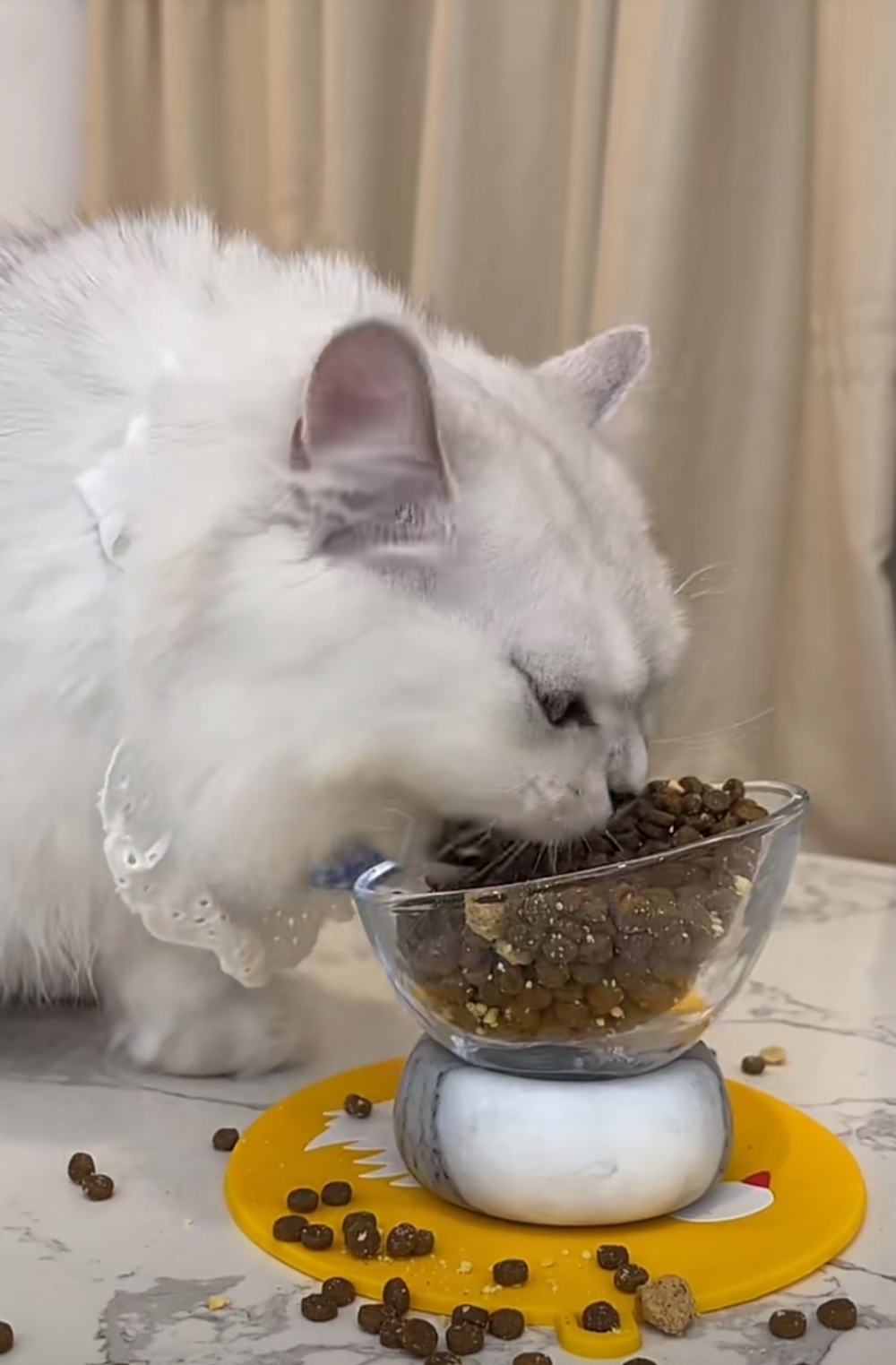 奴才：唉~教育不了啊